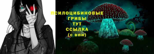 МДПВ Бугульма