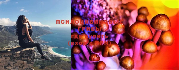 МДПВ Бугульма