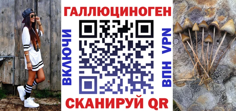 цены   Невельск  KRAKEN tor  Псилоцибиновые грибы мицелий 